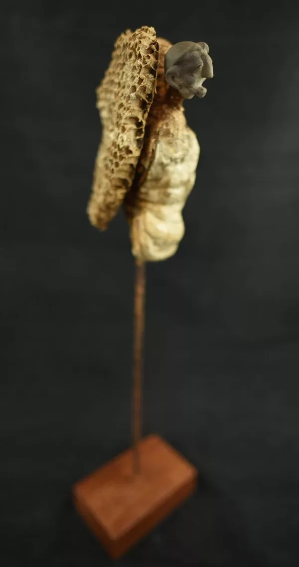 Bee or not to be