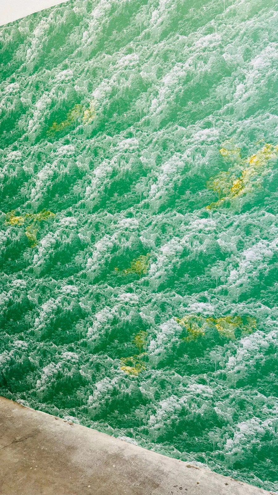 Exposition L’eau qui dort à Perpignan